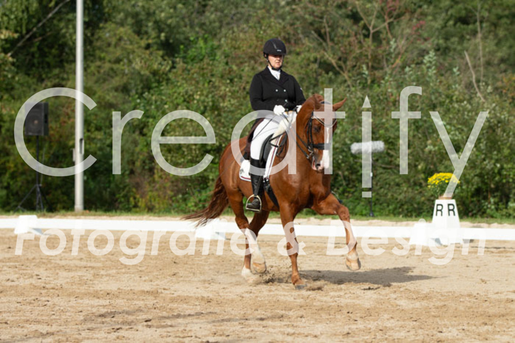 IMG_4600 | Creatify Fotografie