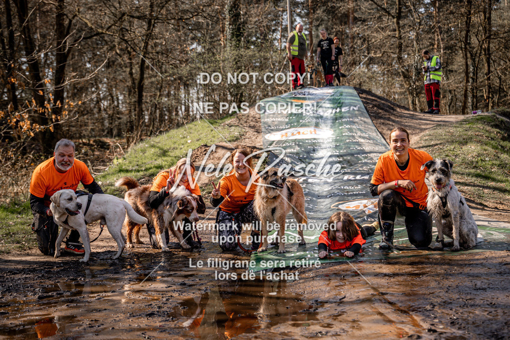 nelerasche_Hulsbeek_So1230-1300_109 | nelerasche