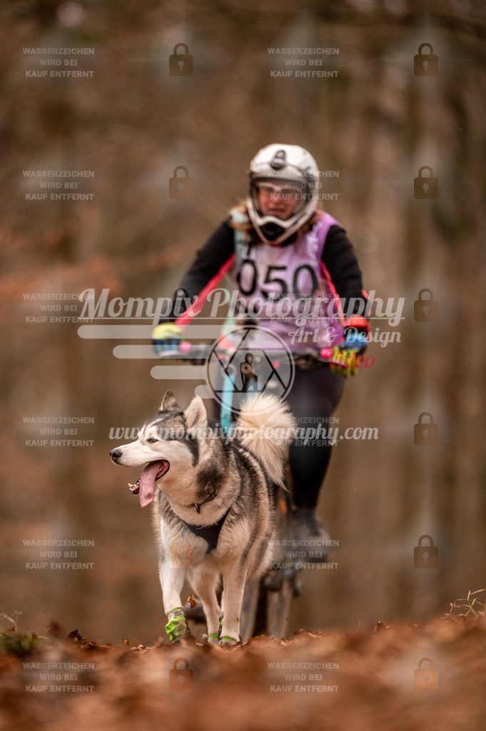 AKM_ST_2023_Son_Bike-5 | PayLife