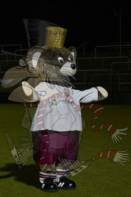 BFC Dynamo vs. BSG Chemie Leipzig 004 | mythos-online-redaktion