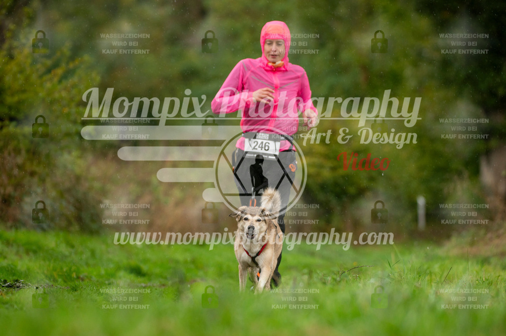 TSB_2023_E6_Canicross-225 | PayLife
