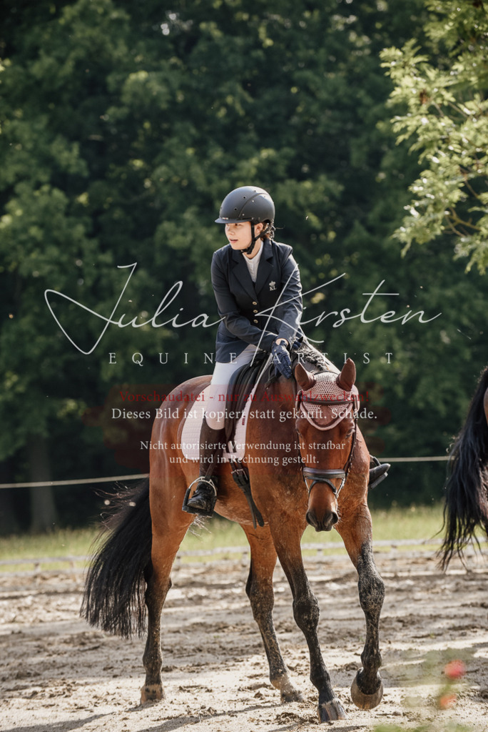 DSC_8694 | Pferde- und Turnierfotografie in Westsachsen. Pferdeportraits, Auftragszeichnungen und intuitive Kunst.