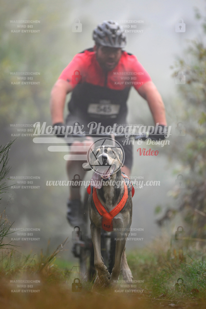 MompixPhotography_20TSB_E4_Bike-108 | PayLife