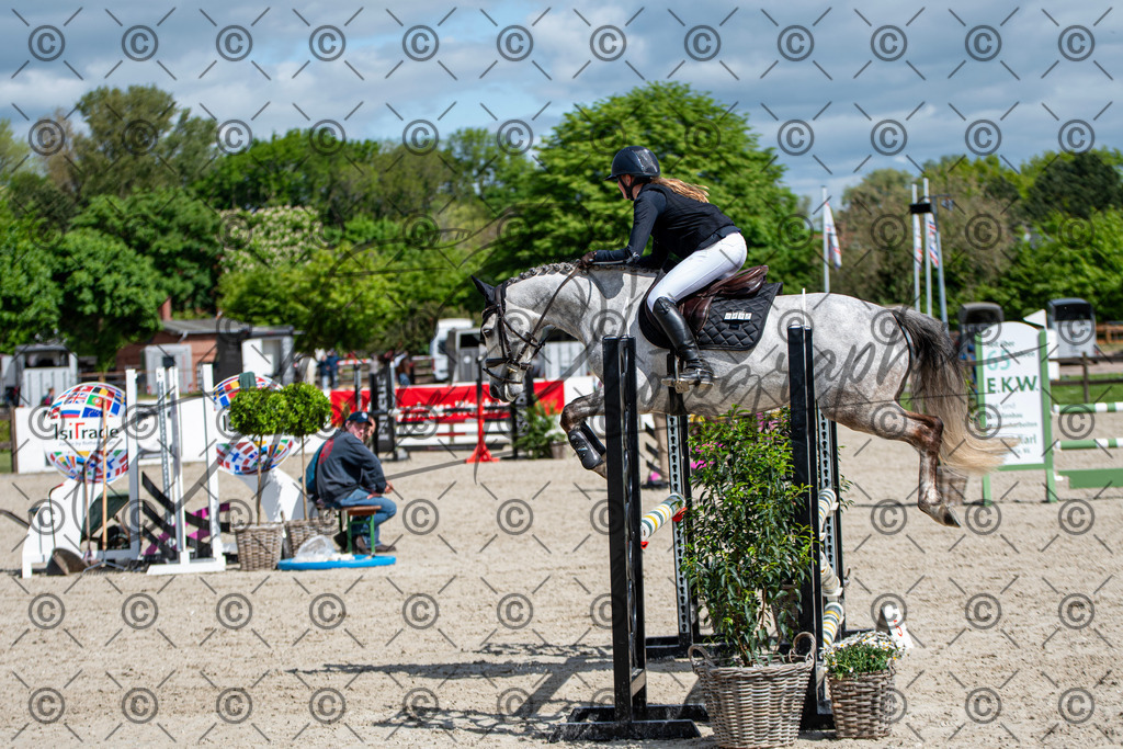 KPT_5114 | andre_photographic