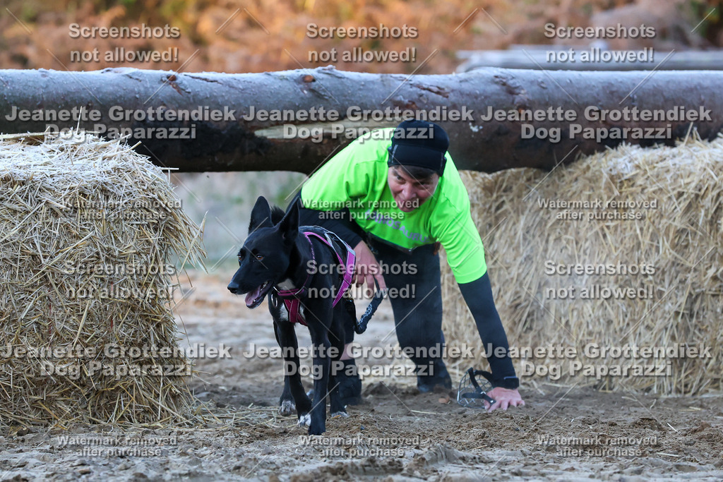 Dog Paparazzi - Strongdog 10-25-380 | Dog Paparazzi Jeanette Grottendiek Fotografie & Videografie - Realisiert mit Pictrs.com