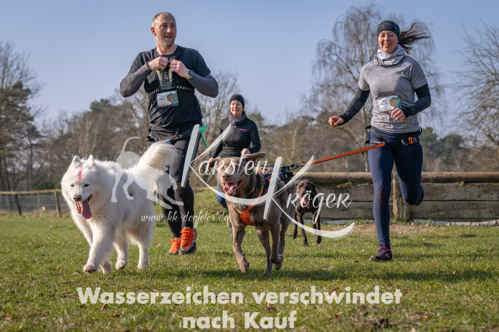 _ZZ92641 | kk-dogfotos