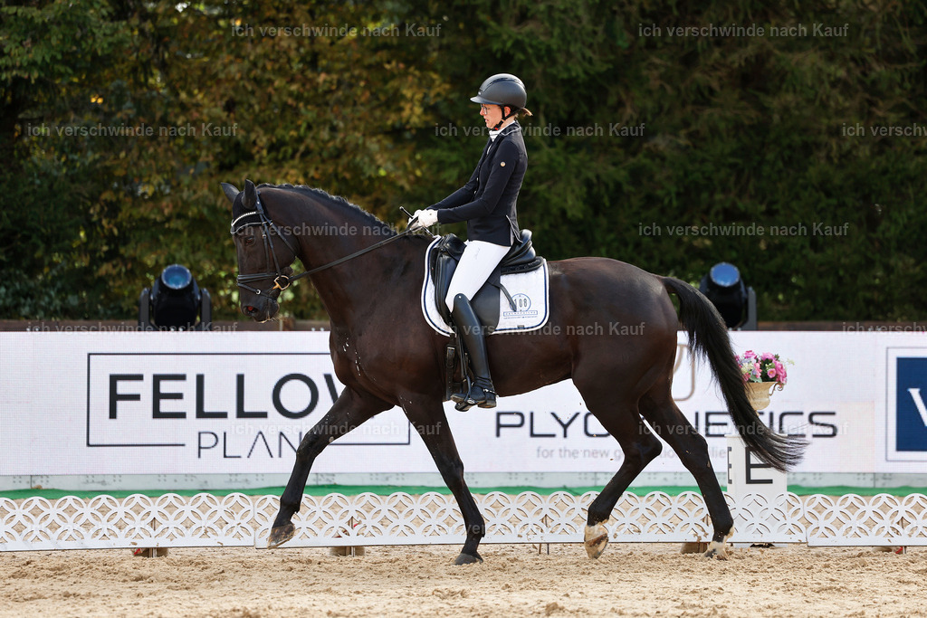 02-108-DRESSUR L_  -StoibPH-4734 | working equitationturnier fotograf videograf stoibphotography marixx film working equitation deutschland reitsport turnierfotografie eventfotografie equestrian events