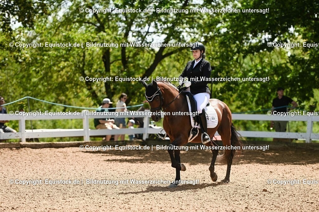 20230716_03_Dressurprfg. Kl.L - Tr._0102 | equistock