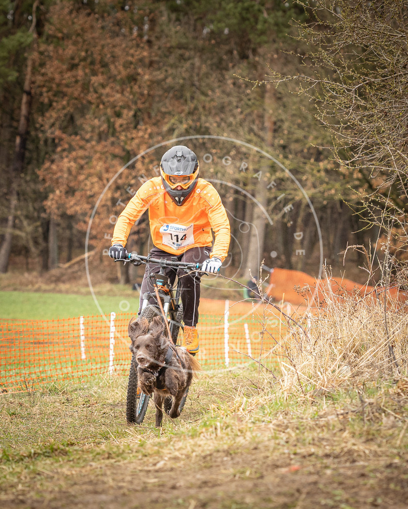 DV3A0935 | Hundefotografie, Tierfotograf, Pfotenfotografie, Fotoshooting Hund, Hunde Portrait, Hundesport, Hundeportraits, Heideshooting, Hunde, Sportfotograf, Hundefotograf, Turnierhundsport, THS,  - Realisiert mit Pictrs.com