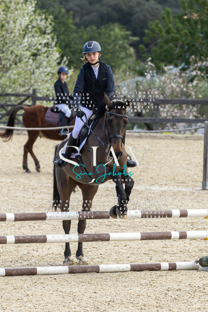 IMG_4979 | s-jay-photography - Realisiert mit Pictrs.com