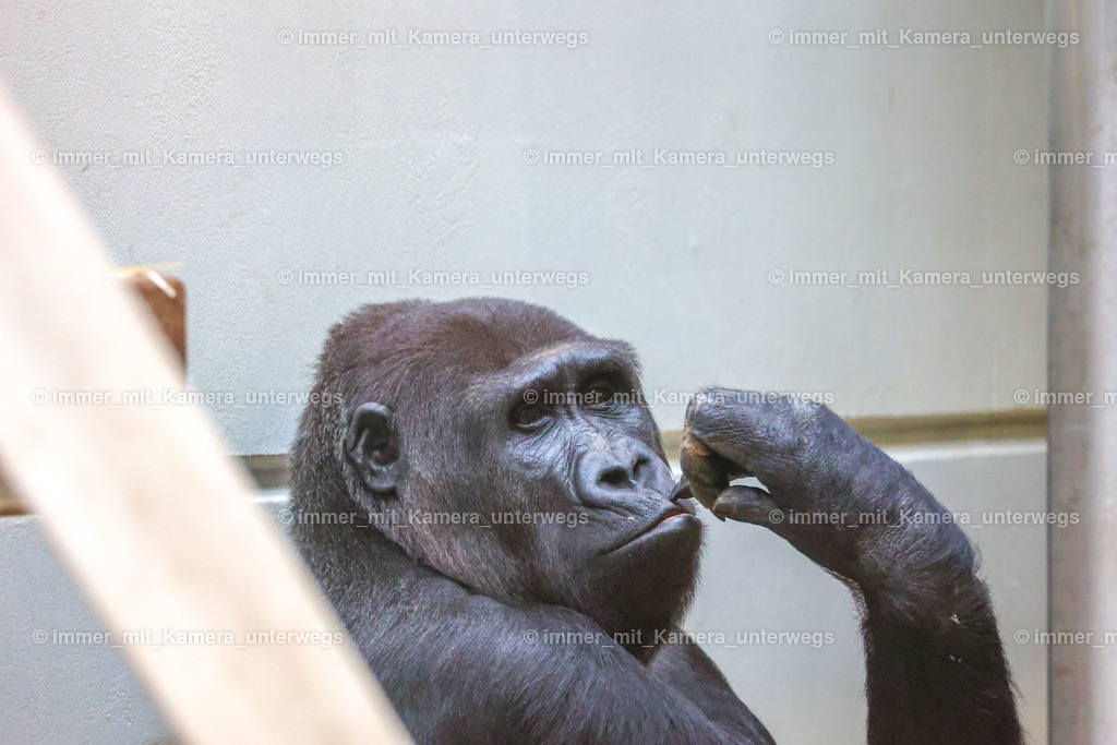 PSX_4440 | immer_mit_kamera_unterwegs