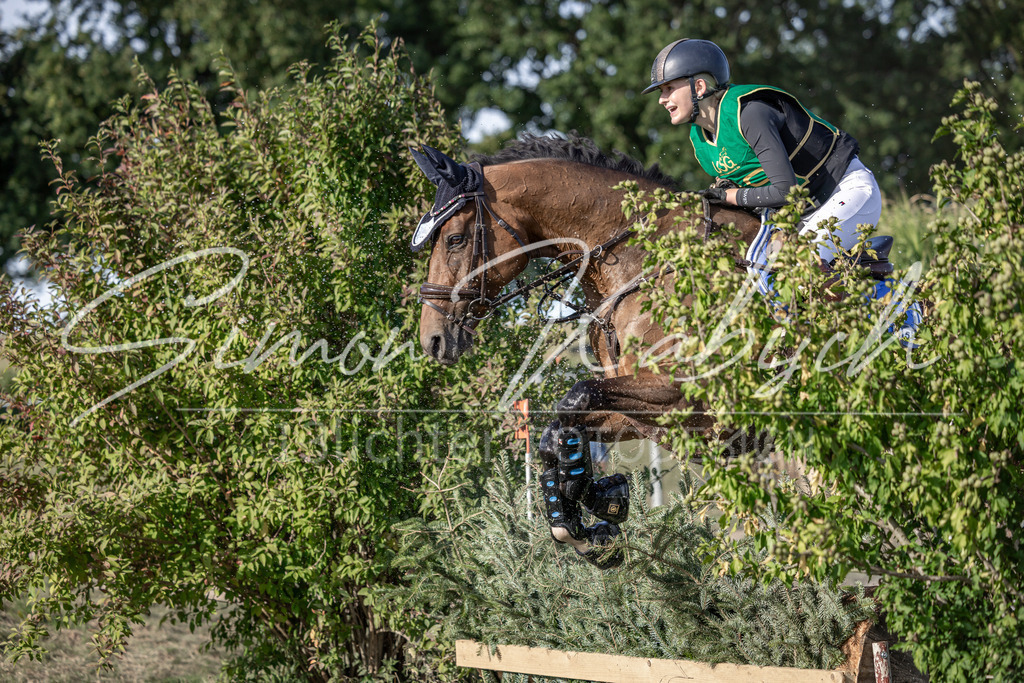20250907-_3LI4069 | Tierfotografie Pferde, Hunde, Katzen, Haustiere.
Turnierfotografie Reitturniere, Reiten, Springreiten, Dressur in Hanau, dem Main-Kinzig-Kreis und dem Rhein-Main- Gebiet um Frankfurt