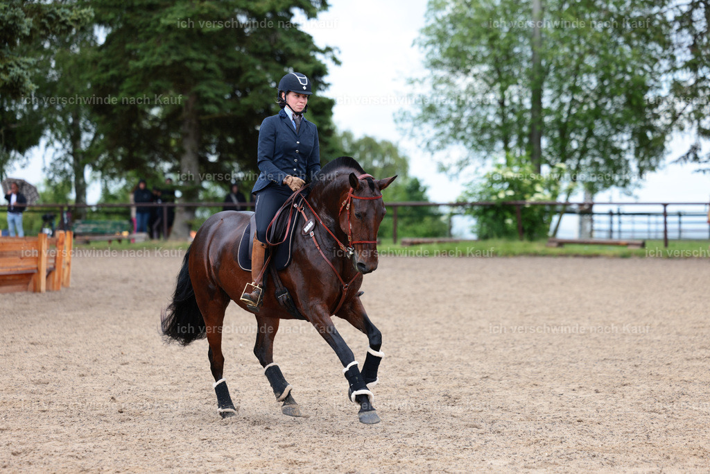 KlasseL_Stoibphotography_CAM23318.JPG | working equitationturnier fotograf videograf stoibphotography marixx film working equitation deutschland reitsport turnierfotografie eventfotografie equestrian events