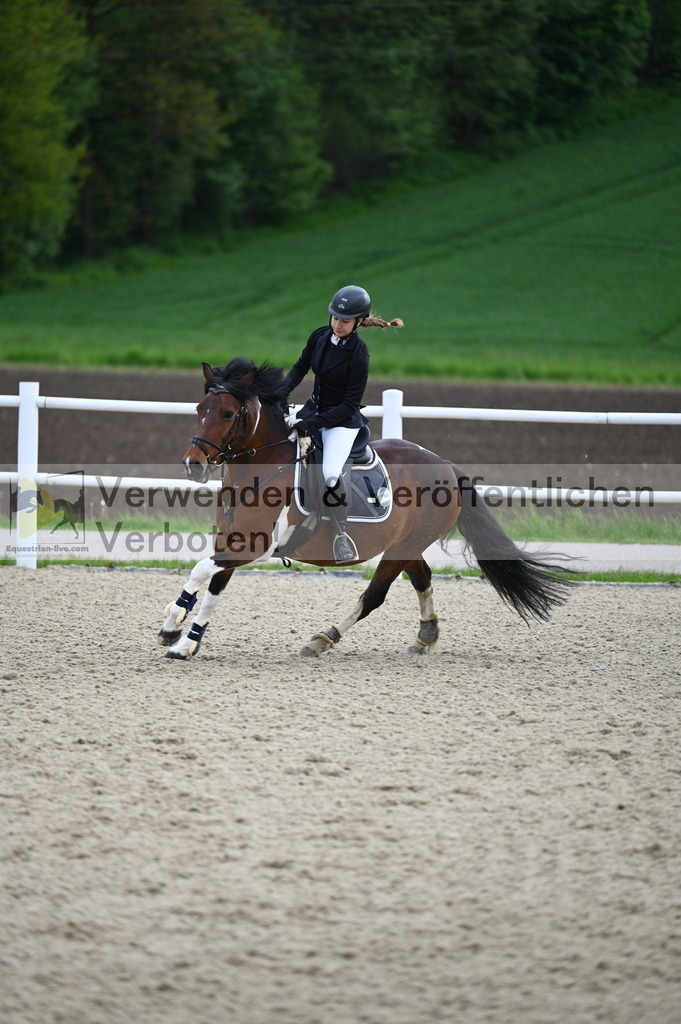 DSC_0372 | equestrian-live-com