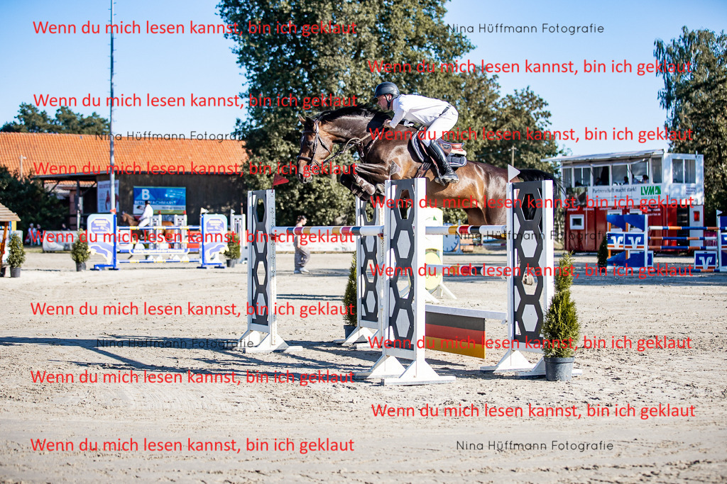 BK1A8154 | Turnierbilder Turnierfotos Nina Hüffmann Turnierfotografie Pferdefotografie Tierzeichnung Haustierzeichnung Pferdezeichnung Hundezeichnung Videograf  - Realisiert mit Pictrs.com