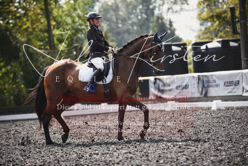 DSC_3676 | Pferde- und Turnierfotografie in Westsachsen. Pferdeportraits, Auftragszeichnungen und intuitive Kunst.