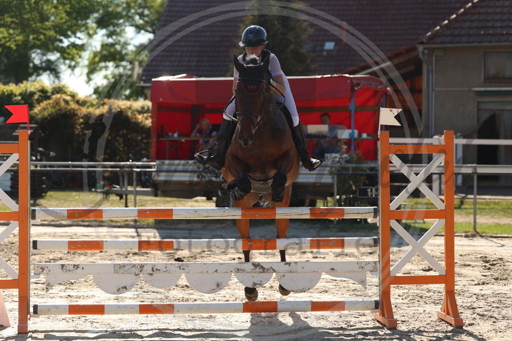 994A6143 | sabrinanicolaifotografie - Realisiert mit Pictrs.com