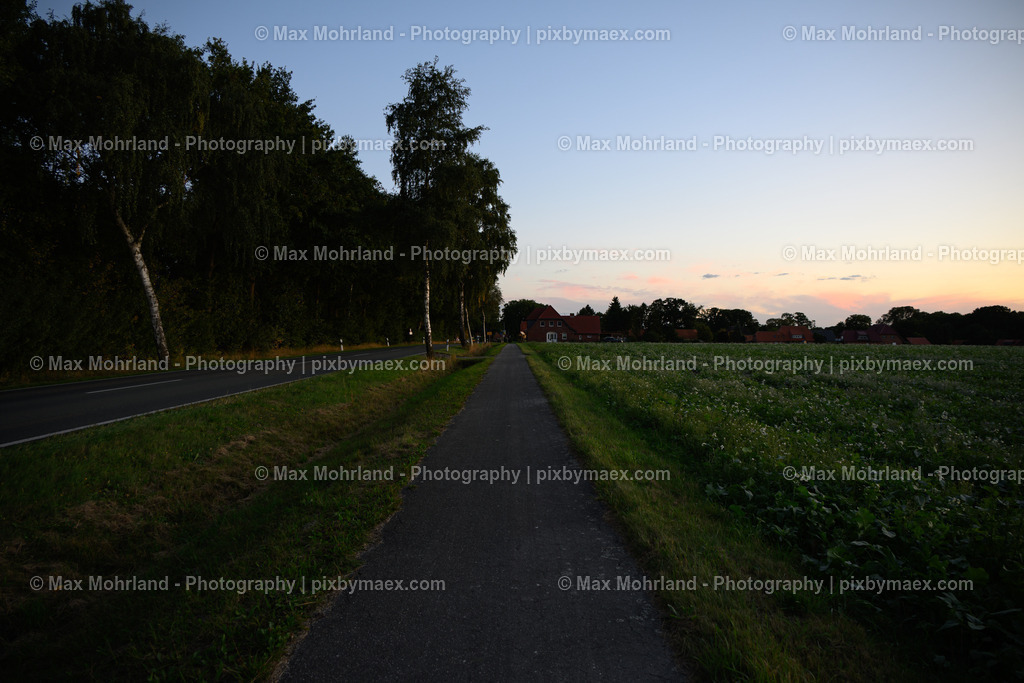 20250923-MZ6_3369 | Max Mohrland - Photography - Realisiert mit Pictrs.com