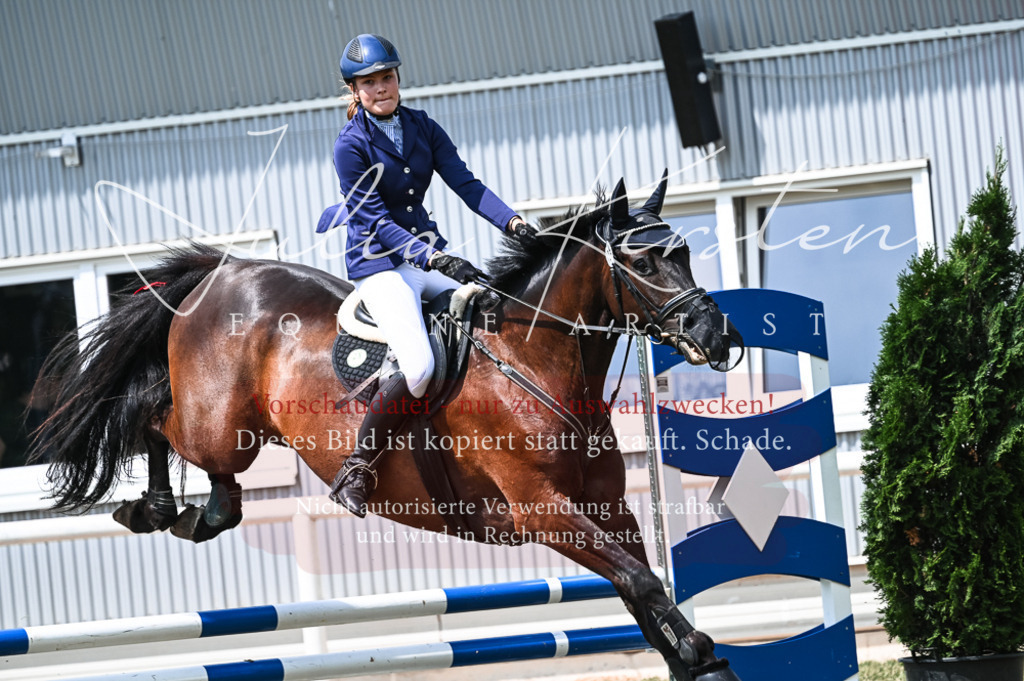 DSC_9216 | Pferde- und Turnierfotografie in Westsachsen. Pferdeportraits, Auftragszeichnungen und intuitive Kunst.