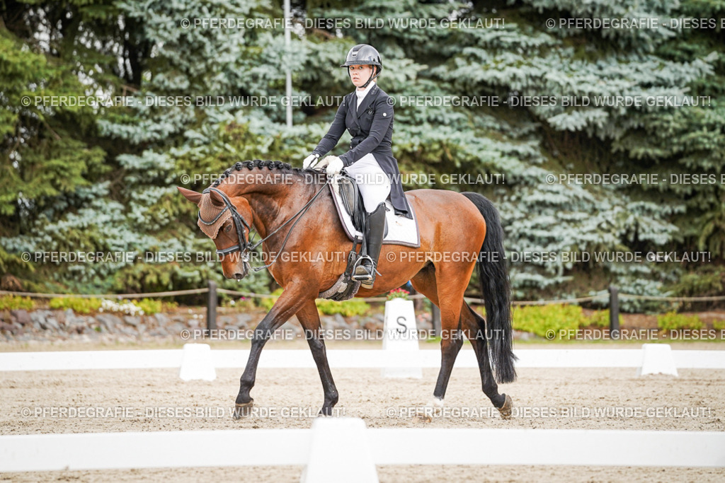 DSC05554 | Pferdegrafie