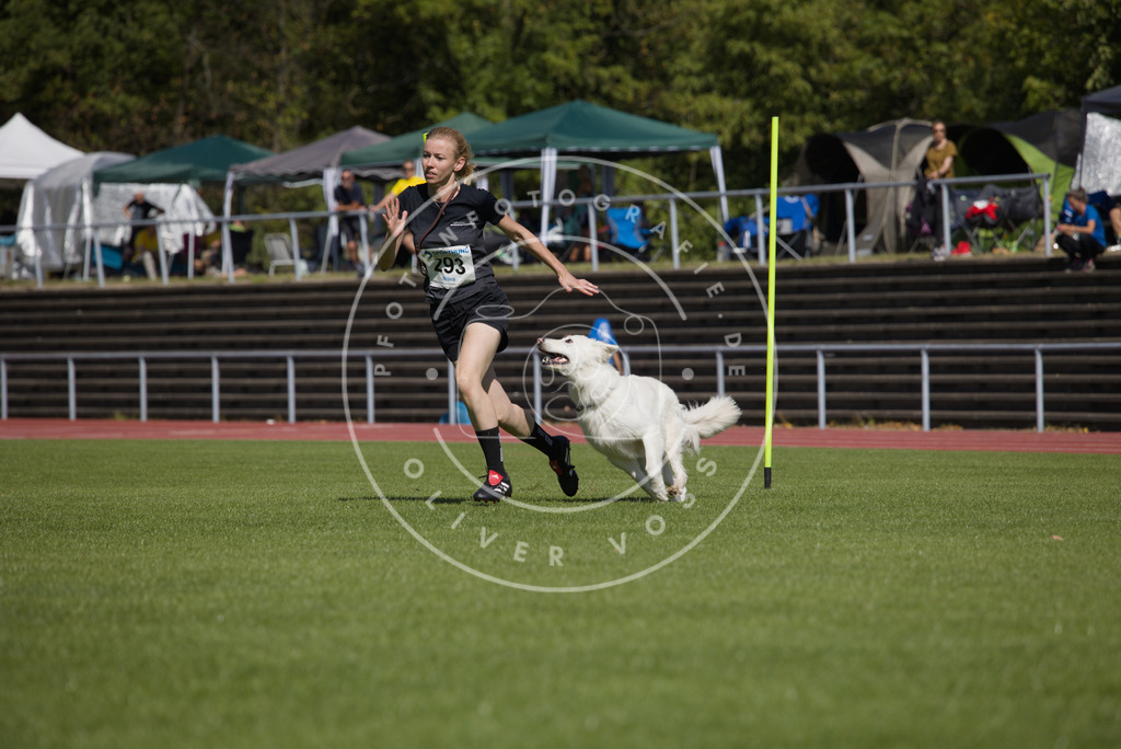 0L8A7047 | Hundefotografie, Tierfotograf, Pfotenfotografie, Fotoshooting Hund, Hunde Portrait, Hundesport, Hundeportraits, Heideshooting, Hunde, Sportfotograf, Hundefotograf, Turnierhundsport, THS,  - Realisiert mit Pictrs.com