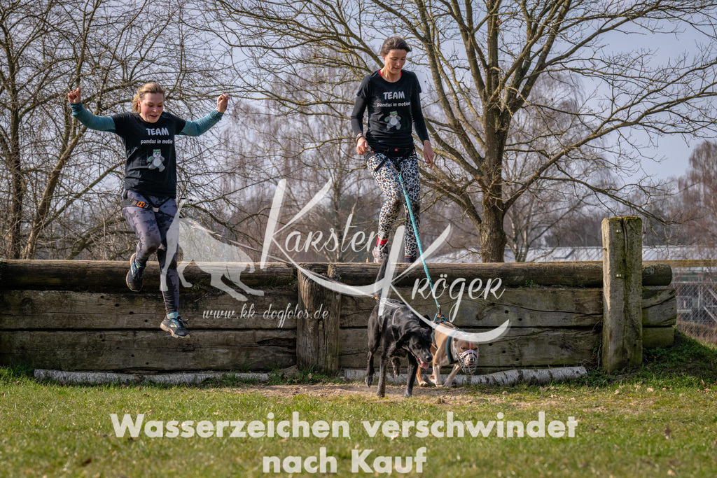 _ZZ90571 | kk-dogfotos