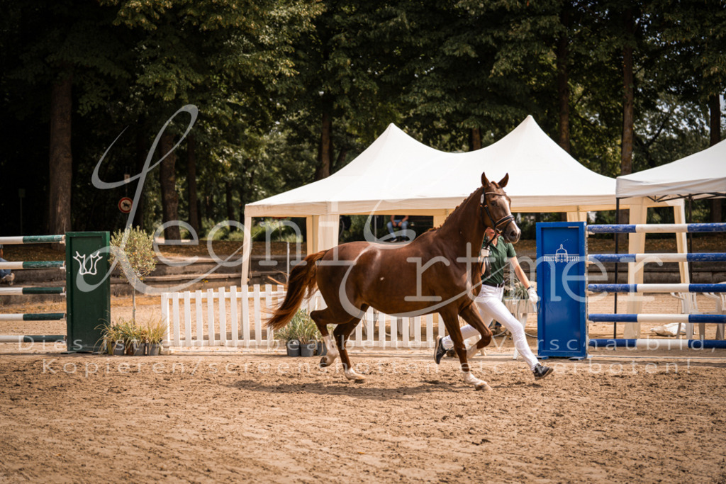 3.Fr00074 | Leoni Ertmer Photography - Realisiert mit Pictrs.com