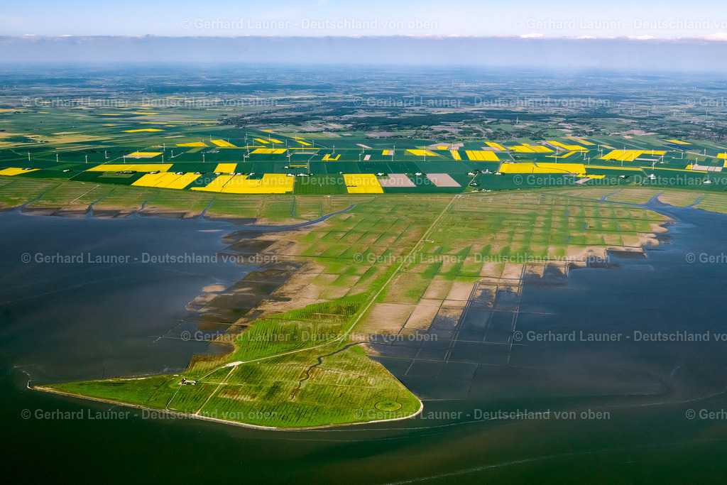 3091365 | Hamburger Hallig, Nationalpark Schleswig-Holsteinisches Wattenmeer