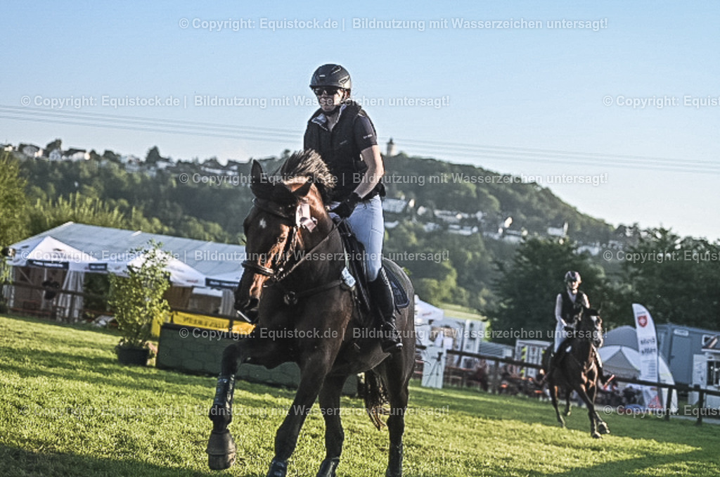 20230909_20_Leonberger-Derby_0201 | equistock