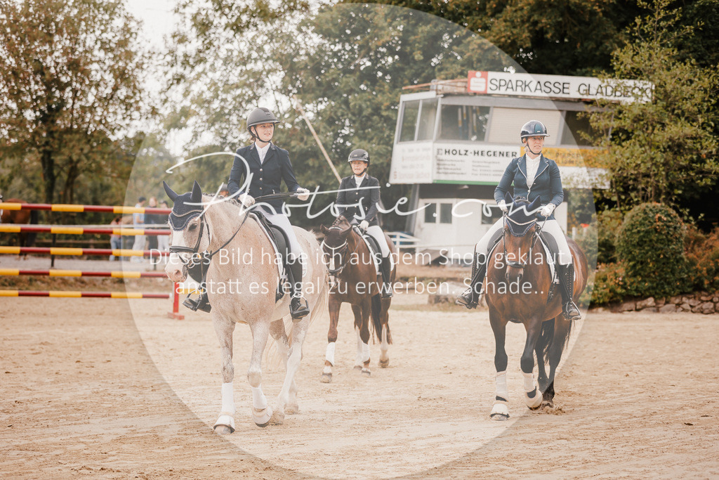 3I6A6368 | Stimmungsvolle Portraits und Reitsportfotografie im Ruhrgebiet und im Münsterland.

Pferdefotografie, Hundefotografie, Tierfotografie, Reportagen, Portraits von Tier und Mensch, Turnierfotografie in Bochum, Recklinghausen, Marl, Haltern am See, Dülmen.. - Realisiert mit Pictrs.com