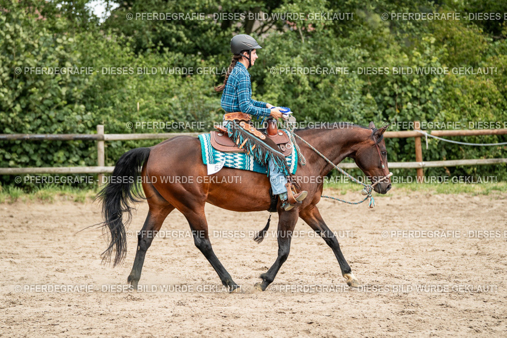 DSC04088 | Pferdegrafie