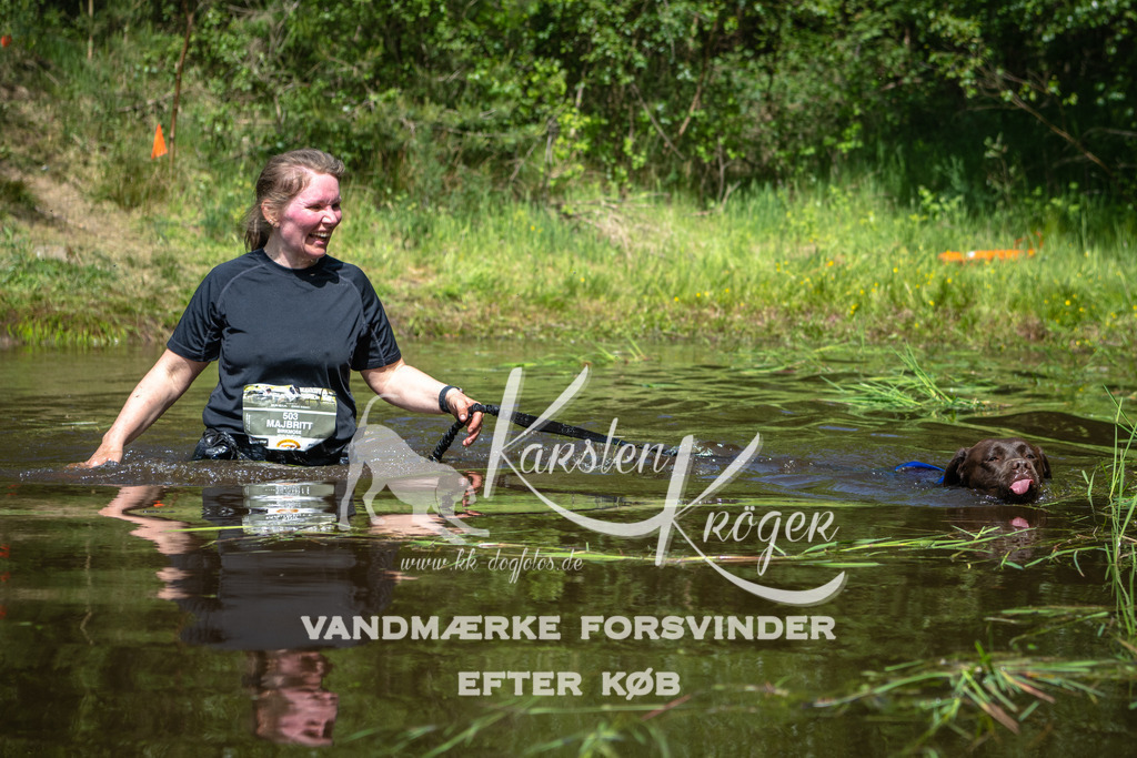 1143DKK990956 | kk-dogfotos
