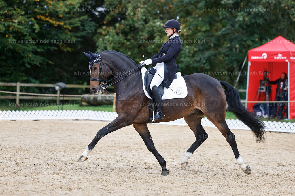 12-074-DRESSUR  S___  -StoibPH-5352 | working equitationturnier fotograf videograf stoibphotography marixx film working equitation deutschland reitsport turnierfotografie eventfotografie equestrian events