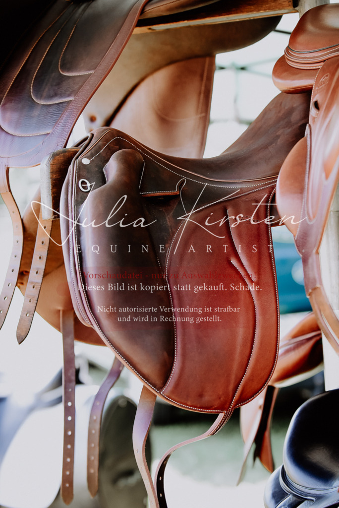 DSC_8884 | Pferde- und Turnierfotografie in Westsachsen. Pferdeportraits, Auftragszeichnungen und intuitive Kunst.