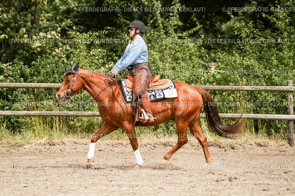 DSC00072 | Pferdegrafie