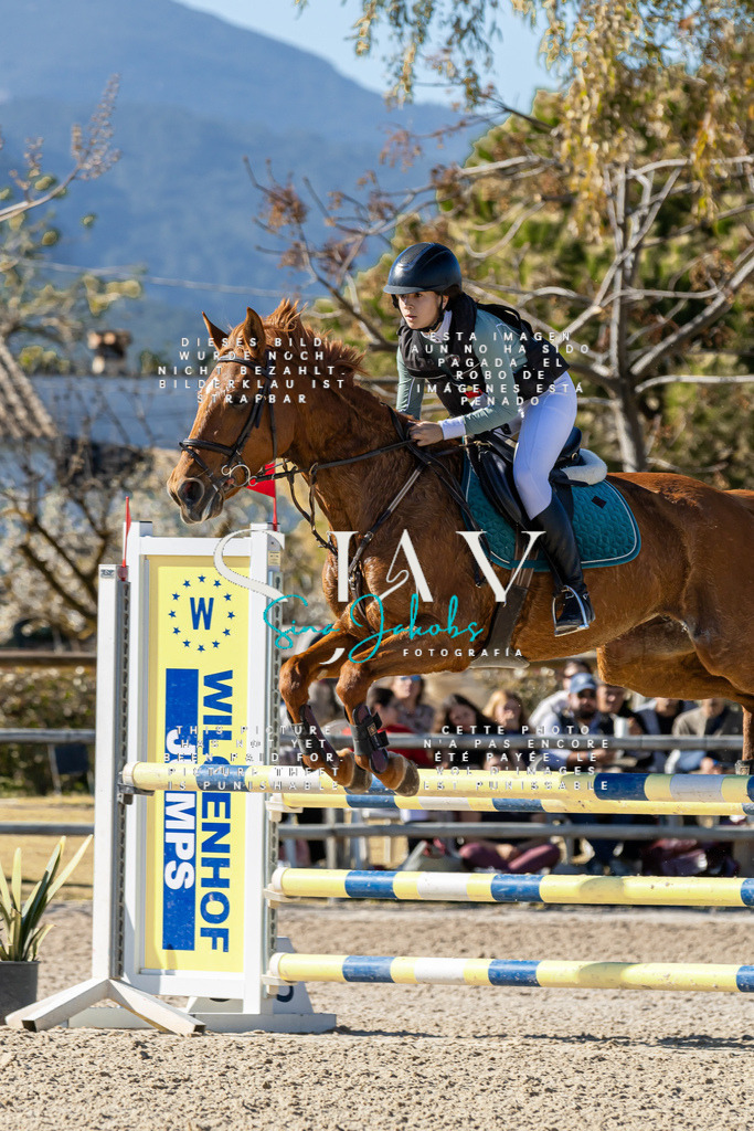 IMG_1279 | s-jay-photography - Realisiert mit Pictrs.com