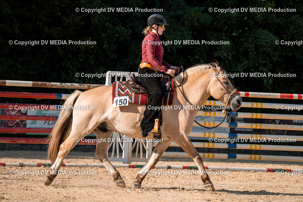 ZH100810 | dv-media-shop - Realisiert mit Pictrs.com