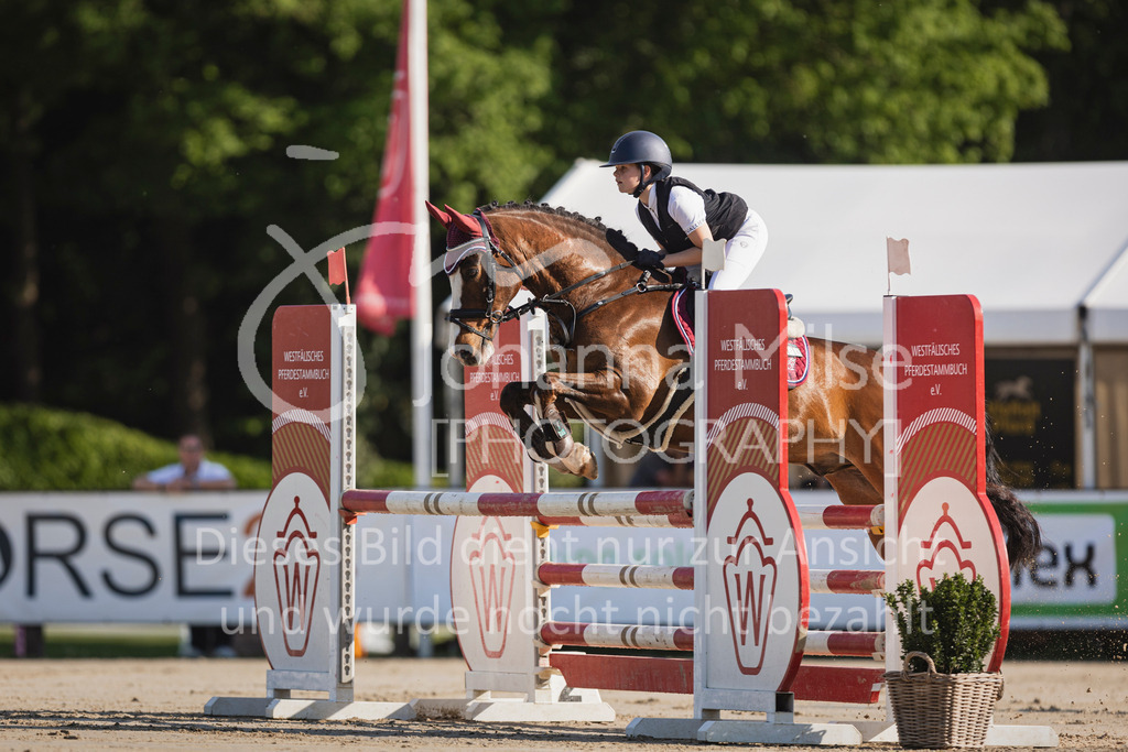 250501_MünsterHandorf_PonyTrophy-226 | Deine schönsten Turniermomente als professionelle Fotos! Entdecke hochwertige Pferdesport-Fotografie im Online-Shop. Jetzt Fotos finden & bestellen!