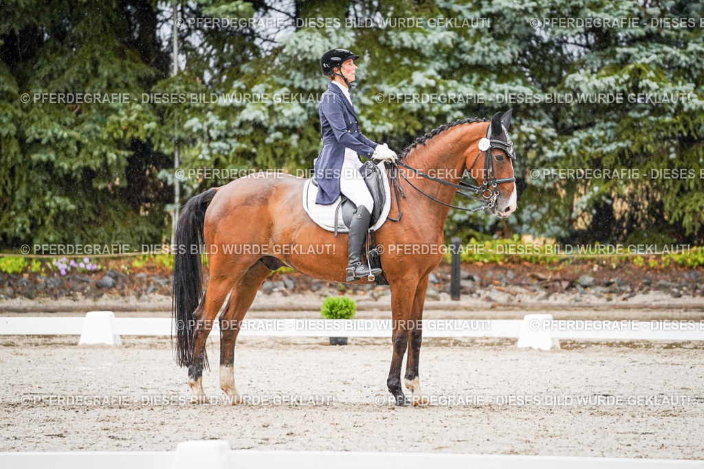 DSC08537 | Pferdegrafie