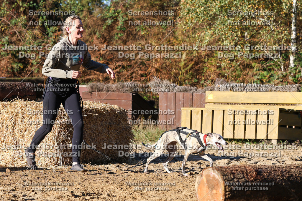 Dog Paparazzi - Strongdog 10-25-1499 | Dog Paparazzi Jeanette Grottendiek Fotografie & Videografie - Realisiert mit Pictrs.com