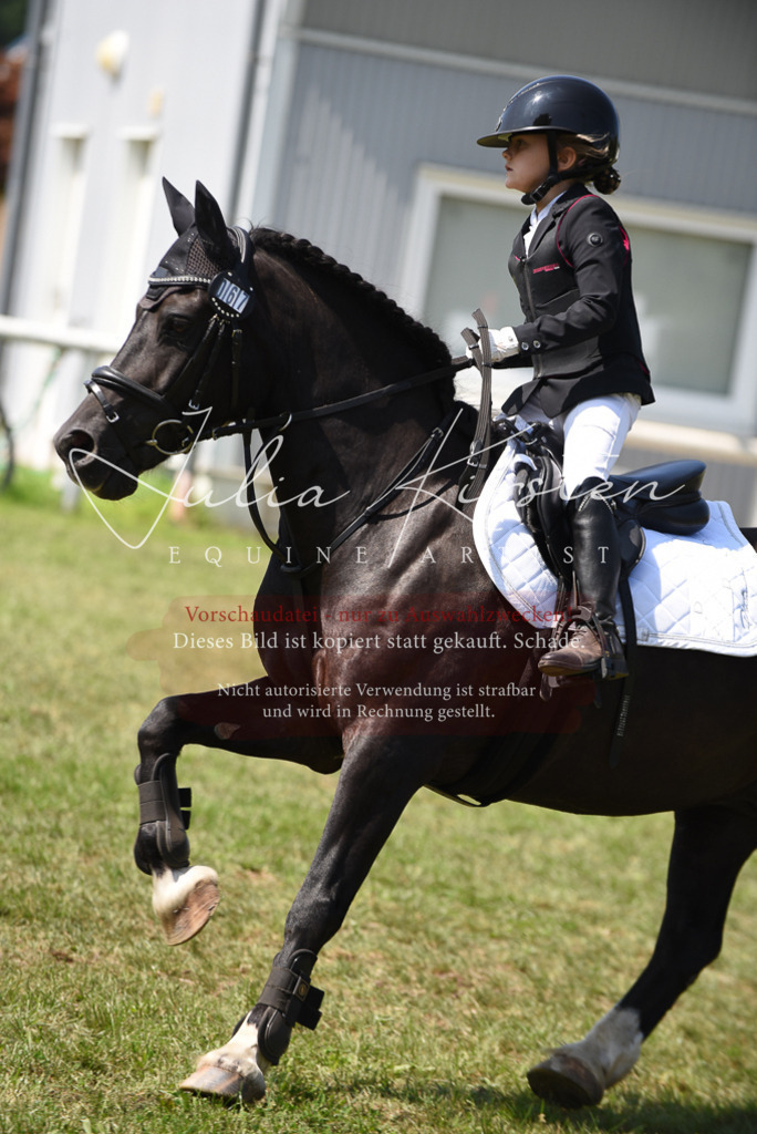 DSC_9981 | Pferde- und Turnierfotografie in Westsachsen. Pferdeportraits, Auftragszeichnungen und intuitive Kunst.