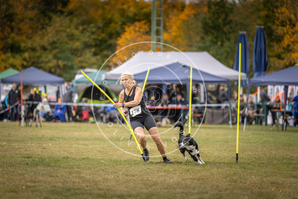 Pfotenfotografie_DV3A5884 | Hundefotografie, Tierfotograf, Pfotenfotografie, Fotoshooting Hund, Hunde Portrait, Hundesport, Hundeportraits, Heideshooting, Hunde, Sportfotograf, Hundefotograf, Turnierhundsport, THS,  - Realisiert mit Pictrs.com