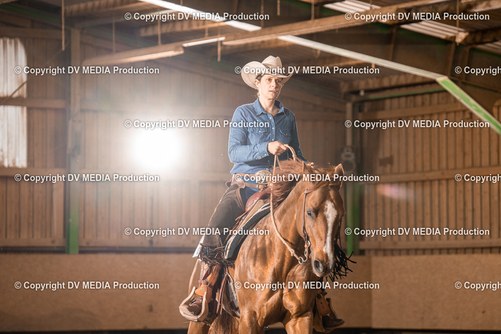 BA400435 | dv-media-shop - Realisiert mit Pictrs.com