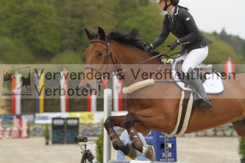 _MG_1291 | equestrian-live-com