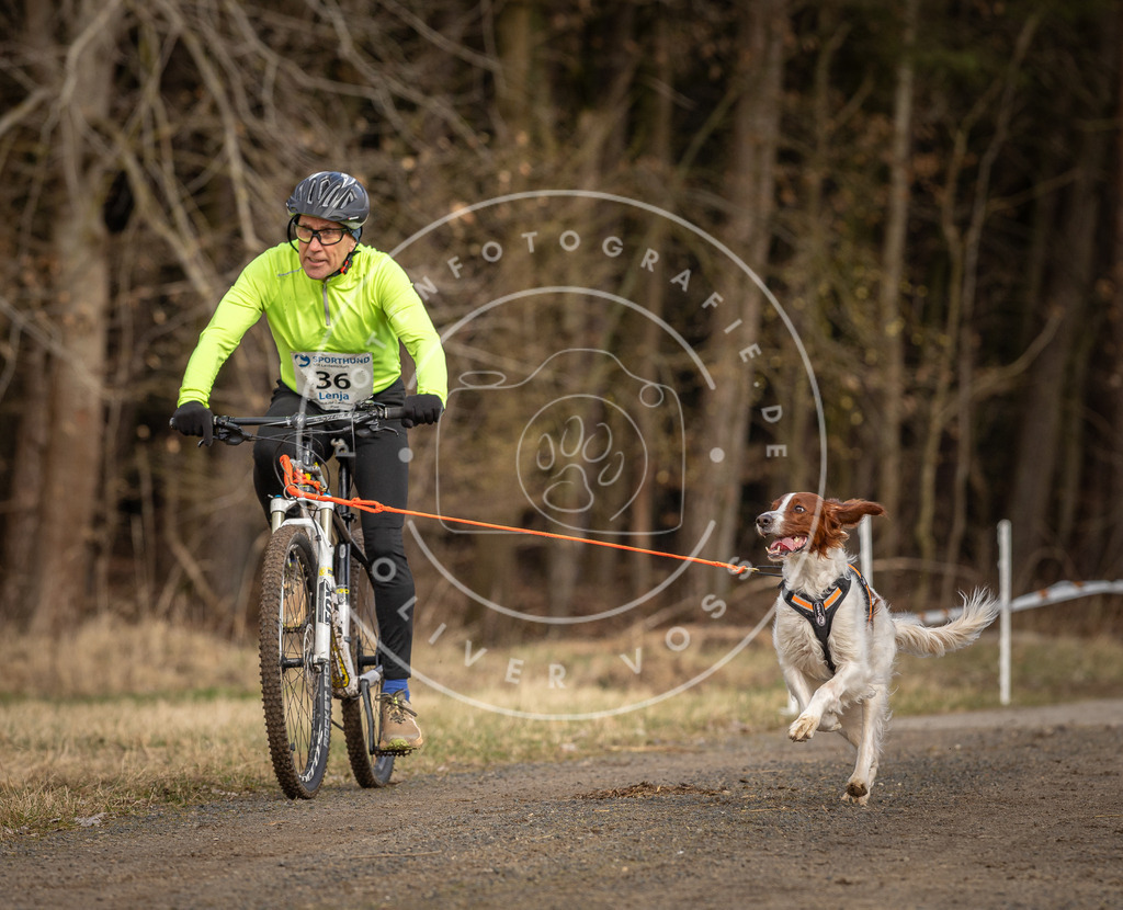 DV3A4578 | Hundefotografie, Tierfotograf, Pfotenfotografie, Fotoshooting Hund, Hunde Portrait, Hundesport, Hundeportraits, Heideshooting, Hunde, Sportfotograf, Hundefotograf, Turnierhundsport, THS,  - Realisiert mit Pictrs.com