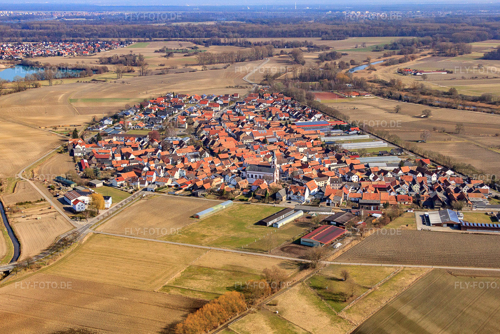 Luftbild: Fischerort von Westen in Neupotz im Bundesland Rheinland-Pfalz in Deutschland. Foto: IMG_48913.jpg vom 09.03.2012 durch Werner Riehm/FLY-FOTO.de