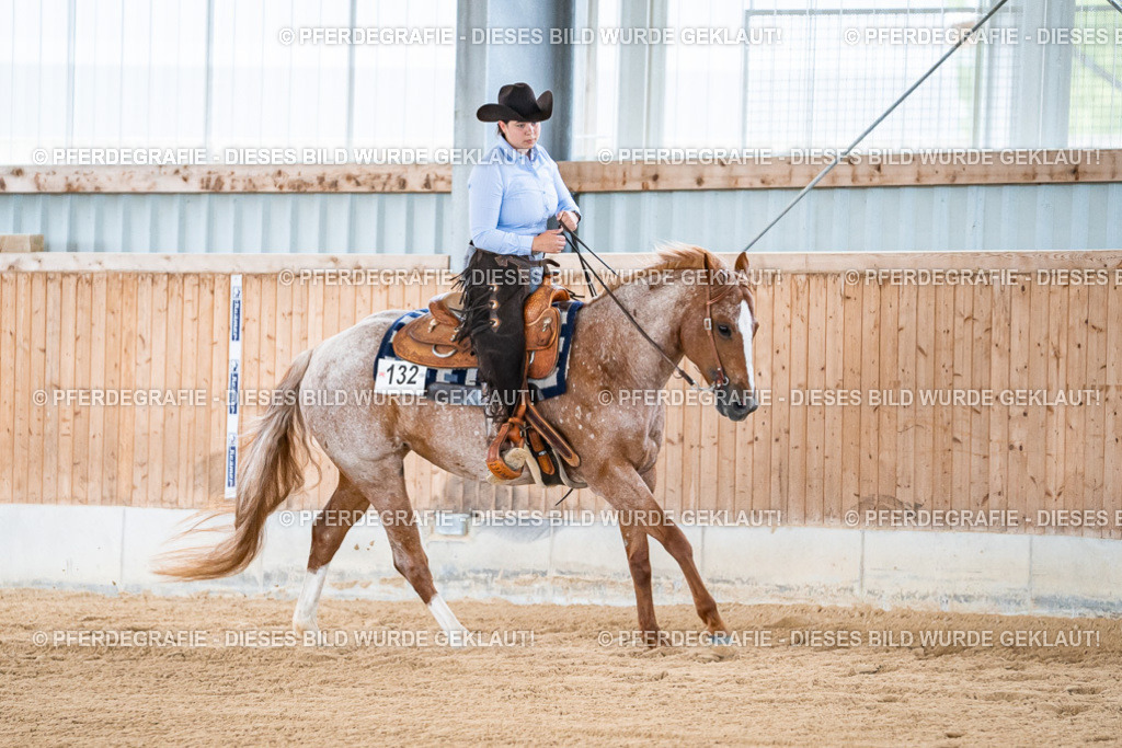 DSC08145 | Pferdegrafie