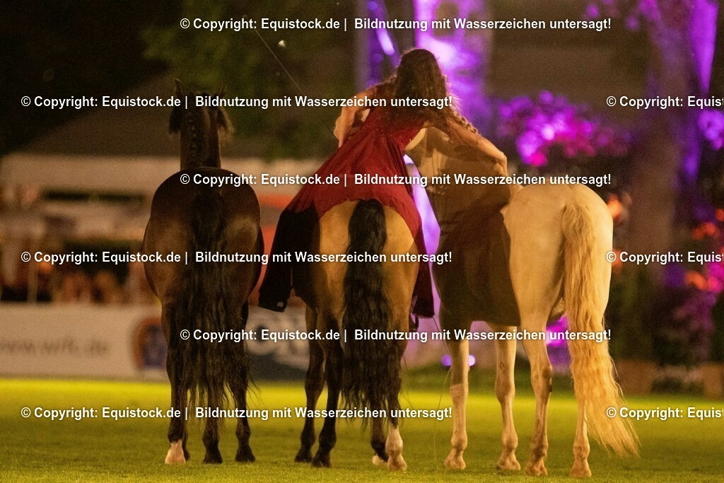 20230526_Pferdenacht_1475 | equistock