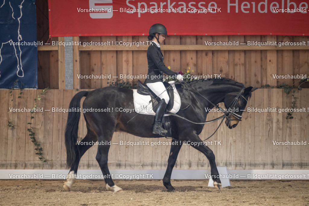 _D5A2266 | Emotionale Pferde- & People-Fotografie rund um Heidelberg, Leimen & Umgebung. Natürliche Fotos von Pferd, Mensch & Familie. Jetzt Termin sichern!