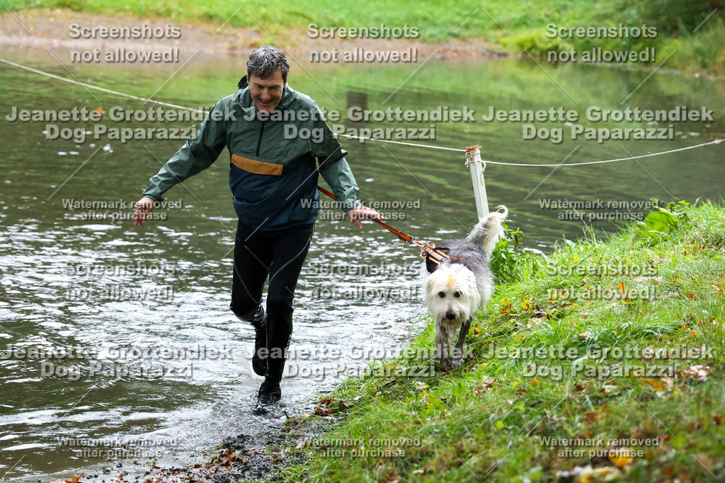 Dog Paparazzi -  SD1026-8317 | Dog Paparazzi Jeanette Grottendiek Fotografie & Videografie - Realisiert mit Pictrs.com